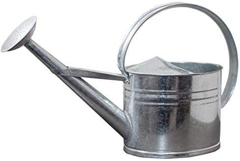 Antikas - Arrosoir en zinc vieilli, M, argent, carafe décorative