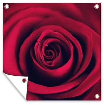 MuchoWow Outdoor-Poster Poster Wanddeko draußen Deko Garten Gartenposter 50x50 cm Rosen - Rot - Detail