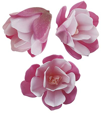 Dekora - 6 Magnolias Fleurs Comestibles pour Gâteau d'anniversaire avec des Fleurs Couleur Rose - 6,5-7 cm 126150 Multicolore