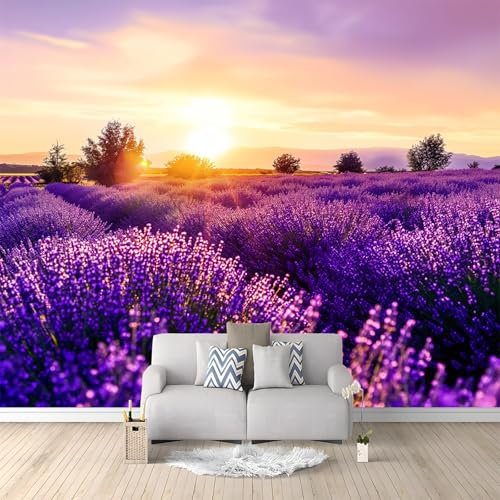 Papier peint intissé Nature Lavande Coucher De Soleil Violet Violet Décoration Murale Poster Tableaux Muraux Tapisserie Photo Effet 3D 200x140 cm