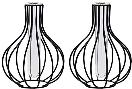 Firlar 2 x schwarze Blumenvase mit Metallrahmen, klares Glas, Reagenzglas-Vasen für Hydrokultur-Pflanze, kleine Knospenvasen, Pflanzenhalter, Geschenke für Hochzeit, Wohnzimmer, Tischdekoration
