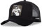 Capslab Sylvester Looney Tunes Used-Look Schwarz Verstellbare Truckercap - One-Size