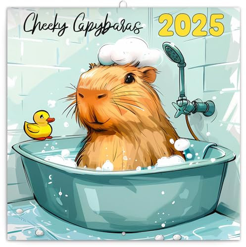 NOTIQUE Wandkalender Cheeky Capybaras 2025 Kalender, Broschürenkalender mit Monatskalendarium, Broschurkalender Tierkalender 30 x 30 cm (30x60 Geöffnet)