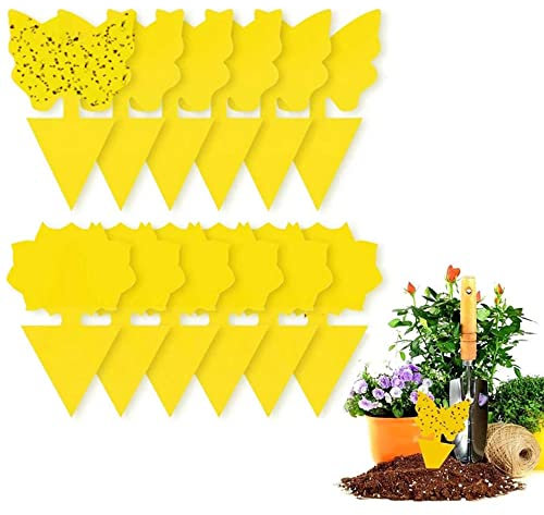 YANGWEN Fly Trap Fruit,20Pcs Gelbsticker Fliegenfänger, Sticker Fliegenfänger Gelbtafeln Fruchtfliegenfalle klebefalle Gegen Trauermücken für für Fruchtfliegen, Mücken