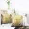 OYIMUA Samt Kissenbezug 50x50 2er Set Senfgelb Deko Kissenbezüge Weich Aesthetic Kissenhülle Landhausstil Dekokissen Kuschelkissen Modern Sofa Kissen Couchkissen Zierkissen