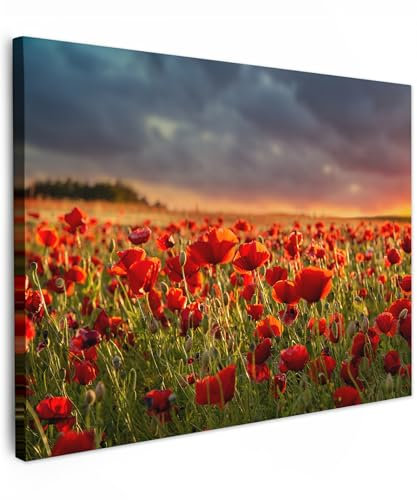 MuchoWow© Leinwand Bilder 70x50 cm Wanddeko Wohnzimmer Aesthetic Room Decor Deko Zimmer Wandbilder Modern Fotogeschenke Sonnenuntergang - Mohn - Rot - Blumen - Feld - Bild Natur