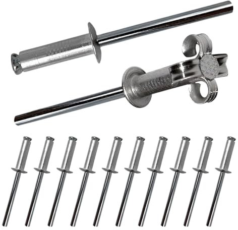 DWFEYOI Rivets Ø4x10mm de Plaque d’immatriculation, Lot de 10 Rivets aveugles en Aluminium pour Support de Plaque d'immatriculation - Argent
