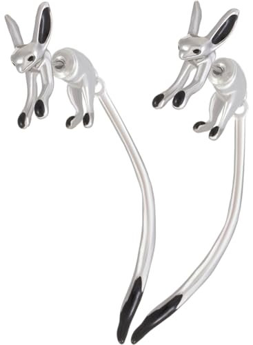 DEARMAMY Modische Ohrstecker Minimalistische Knorpelohrringe Für Frauen Ohrringe Zum Ohrlochstechen Stilvolle Freundin