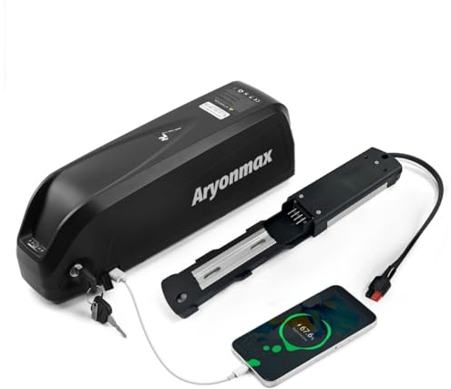 36V 48V 52V Ebike Akku 10-25AH mit Ladegerät (A Grade-Zelle), E Bike Fahrrad Batterie Pedelec Lithium-ionen Akku für 250W-1500W Motor (Hailong-G80 48V 20Ah 4-Pin (100-1500W) +USB)