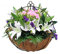 Wankd Blumenampel Kokos, 1 Stück Klassische Blumenampel, 12inch, Blumenampel, Hängekörbe, Wandhaken, Pflanzenhalter, Wandhalterung