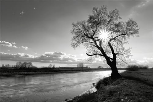 Noir Et Blanc 5D DIY Peinture au Diamant, Peinture numérique au Diamant Arbre DIY Cristal Strass Peinture Plein Forage Broderie Artisanat Point De Croix Chambre Salon Décoration Murale 40x50cm