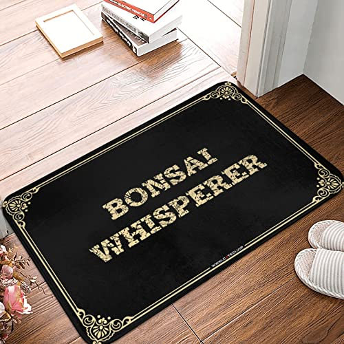 Schlafzimmer Tür Dekor Bonsai Whisperer Fußmatte Outdoor Teppich Wasserdicht Gamers Zubehör (Farbe: Farbe, Größe: 65X90CM)