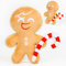 Dlishka Cookie Run Kingdom PlüSchtier 10in Weiches Schattenmilch Keks PlüSch,SüßEs Kuscheltier FüR Gaming-Fans & 4 5 6 7 8 9 JäHrige Jungen & MäDchen,Squishy Spielcharakter Spielzeug. (Ginger Brave)