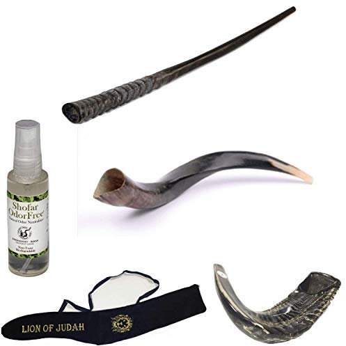 Amaizing Set Shofar, Big Oryx, Ram Horn, Kudu 40,6 cm - 48,3 cm, Shofar Tasche + Anti-Geruchs-Spray