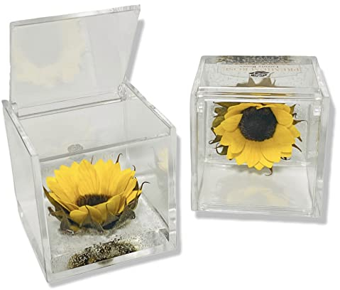 Cubo Girasole Stabilizzato 6cm, Girasole eterno, Idea Regalo donna compleanno, Fidanzati, come una rosa stabilizzata vera, Regali Natale, anniversario idea regalo per lei