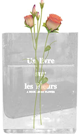 Vase De Livre pour Fleurs, Vase De Livres Clair pour, Nouveau Vase en Forme De Livre Transparent en Acrylique, Vase De Livre Transparent