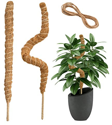 2 Pcs Moosstab Biegbare Natürliche Pflanzenstütze Pflanzen Stütze für Zimmerpflanzen Haus Garten 40&60cm Kokosstab für Zimmerpflanzen Biegbar Form Klettern Kokosfaser Stick