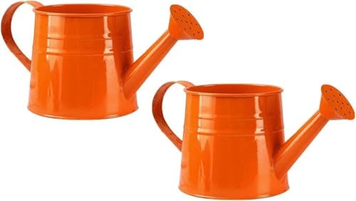 Gießkanne Klein Zimmerpflanzen 1L Kleine Gießkanne Metall Blumentopf Giesskanne Garten Balkon Watering Can Kieskanne Vintage Blumengießkanne Pflanzengießkanne Gartenwerkzeug (2PC/Orange)
