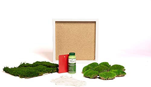 DIY Moosbild selber machen, Wandbilder selber kleben, Moosbilder selbst gestalten Do it yourself Set Moos kleben Wanddeko selbst herstellen Komplett-Set Holzrahmen (weiß, 35 x 35 cm)