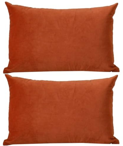 Kissenbezug 50x70 40x70 Samt Sofa Kissenbezüge 40x60, Zierkissenbezug Dekokissen Sofakissen Mit Reißverschluss 60x80 Kissenhülle 33x50 Dekorative Weiche Zierkissenbezüge Kissen Bezug ( Color : #22 , S