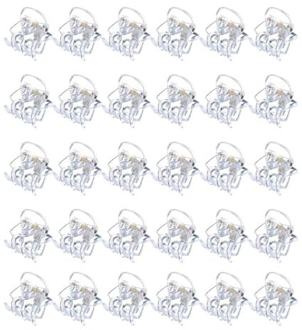 30 Stück Kleine Haarspangen, Haarklammern Klein, Mini Haar Clips, Mini Haarspangen, Kunststoff Haar Klemmen für Mädchen und Frauen, 1.5 cm Klaue Clips, Rutschfestem Griff klein Jaw Clips
