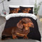 Pet Hund Bettwäsche 200x200cm Jungen Mädchen Kinder, Schokoladen-Dackel Bettbezug Set Schwarz Bettwäsche-Set 3D-Haustiermotiv Animal Puppy Betten Set,2 Kissenbezüge 80x80cm