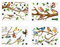 YINETTECH 2 set 8pcs Autocollant Mural Oiseaux sur Branche D'arbre Stickers Muraux Auto-Adhésif Étanche Art Décoration pour Chambre Salon Salle de Bains