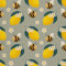 HEKO PANELS Oxford Wasserdichte Meterware Canvas Polyester Stoff Zum Nähen, Möbel- und Dekostoffe, Handwerken, Wasserabweisend, Blickdicht, Zitronen, 2 Meter 155 x 200 cm