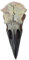Folpus Halloween Rabenschädel Dekor Halloween Dekor Kleidung Harz Vogelschädel Anhänger für Festival Schreibtisch Ferienhaus Spukhaus, 40mmx18mmx17mm