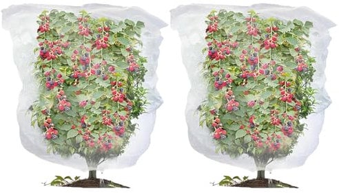 2PCS Fruit Tree Netting Bird Protection, Bird Netting for Garden, Fruit Trees Cover Frame Bags with Drawstring for Small Bush Vegetables Strawberry Net (80 * 100cm)