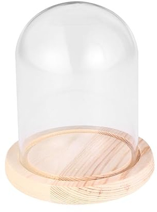 Glass Display Cloche Dome with Vintage Wooden Base, Decorative Clear Bell Jar Cover Showcase for Plant, Collection Crystal Eternal Transparent Flower Cover, Micro Landscape Solid Wood Base DIY Craft