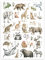 Alphabet Tierposter A3 | Tieralphabet | Poster Tiere | ABC Plakat | Poster Kinderzimmer