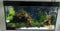 Aquarium Terrarium e-Safe Unterlage Optimierung Sicherheit und Sparsamkeit (150 x 50 cm)