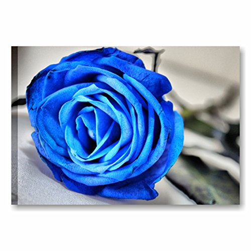 Quadri L&C ITALIA Rosa Blu - Quadro Moderno con Fiori 70 x 50 Stampa su Tela Canvas da Parete Bianco Nero per Soggiorno Salotto Camera da Letto Bagno