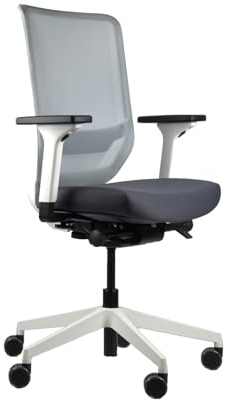 Trendoffice to-sync pro, ergonomischer Bürostuhl, mit Armlehnen, modernes Design, Homeoffice, umweltzertifiziert, by Dauphin (Weiß/Grau, Netz-Rückenlehne)