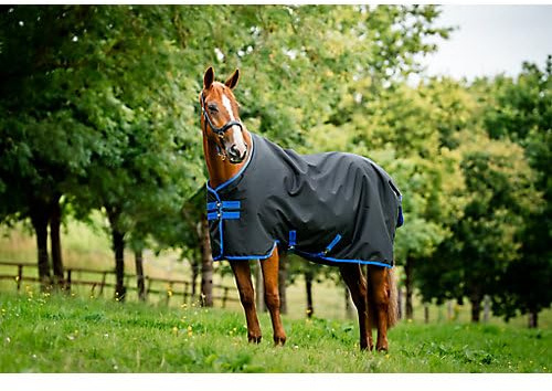 Horseware Amigo Ripstop 900D Lite 0g Turnout Decke Black/Classic Blue Deckengröße:90 cm / 4'6