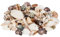 NaDeco Muschelmix, 'Large', Gewicht ca. 1kg | Deko-Muscheln und Deko-Schnecken | Bastelmuscheln | Muscheln zum Basteln | Deko-Muscheln | Deko-Schnecken | Maritime Dekoration | Muscheln und Schnecken