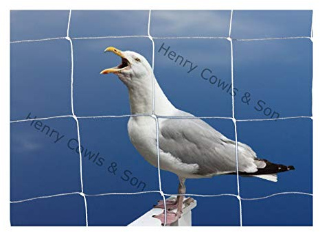 Bird Netting For the Garden 5m x 10m 75mm Anti Seagull Knotted 3 Mesh Heavy Duty White Net
