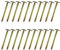 Stahl T-Profil Hering Zelthering Camping 30-40 oder 50 cm Moritz® (20 Stück, 40 cm)