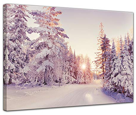 Bilderdepot24 Wandbild - verschneiter Wald 50x40 cm einteilig Querformat - Leinwandbild Bild auf Leinwand - Winterlandschaft Schnee