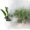 Fensterfolie statisch 90x150 cm | Sichtschutzfolie Fenster Milchglasfolie statisch haftend | Folie Fenster für Bad und Büro - Tageslicht genießen, Sichtschutz erhalten | Bamboo 3D