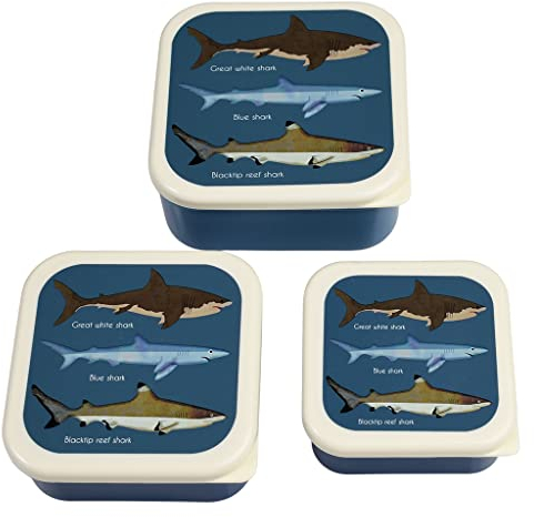 Rex London Snack boxes (set of 3) - Sharks