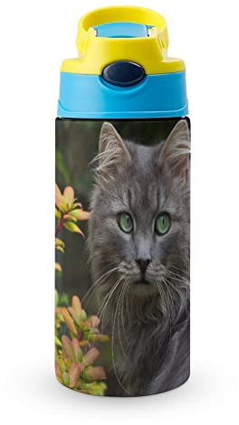 Vaso De Pajita De Acero Inoxidable Gato Botella Termica 500Ml Para Escuela Oficina Viaje Deporte