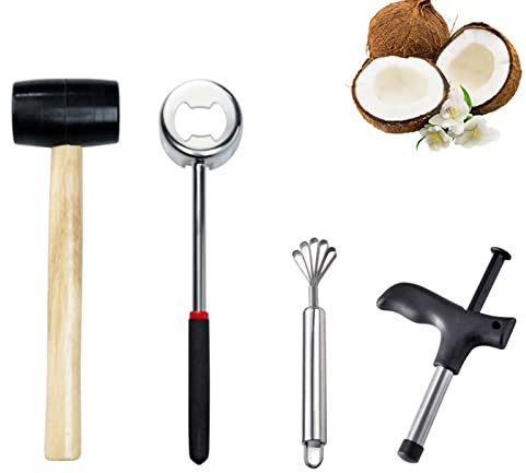 Ensemble D'outils D'ouverture de Noix de Coco, Brise-Noix de Coco en Acier Inoxydable avec Marteau en Caoutchouc pour Jeune Noix de Coco (Ouvre-coque de noix de coco + marteau)