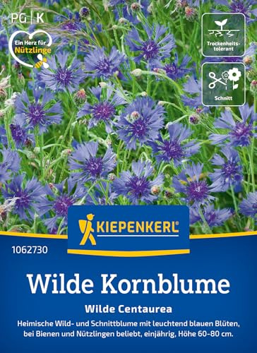 Kiepenkerl Wilde Kornblume Wilde Centaurea 1062730, Blumensaat