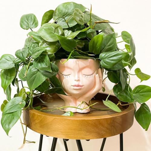 JOFAMY Pot de Fleurs en résine pour intérieur et extérieur avec Trou de Drainage, Yeux fermés, diamètre 13,5 cm, Hauteur 16 cm