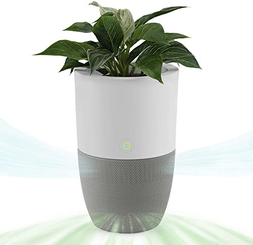 Dupray Bloom™ Luftreiniger für große Räume | Für Zuhause, Schlafzimmer, Büro, Staub, Haustiere | H13 HEPA-Luftfilterung zur Beseitigung von 99,97% aller Partikel | Bis zu 141 m2 Reichweite
