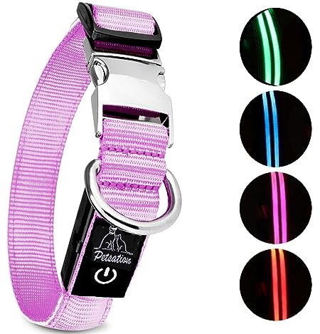 Petsation Leuchthalsband für Hunde [Das Original] Leuchtendes LED Hundehalsband spazieren gehen auch im Dunkeln Lange Akkulaufzeit – Sicher Dank hochwertigem Metallverschluss (Pink, L (48-60 cm))