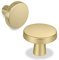 Goldenwarm 15 Stück Möbelknöpfe Gold Vintage - Griffe, Schrankknöpfe, Schubladenknauf, Türknauf - LS5310GD