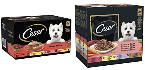 Cesar Classic Terrine Wet Dog Food, Mixed Selection in Jelly, Pack of 3 & Pouch Selection in Sauce, Fresh Adult Wet Dog Food Pouches in Delicious Sauce with Succulent Meats and Vegetables, Pack of 2